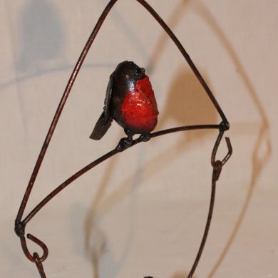 Red Throat Swing Fat Ball Holder