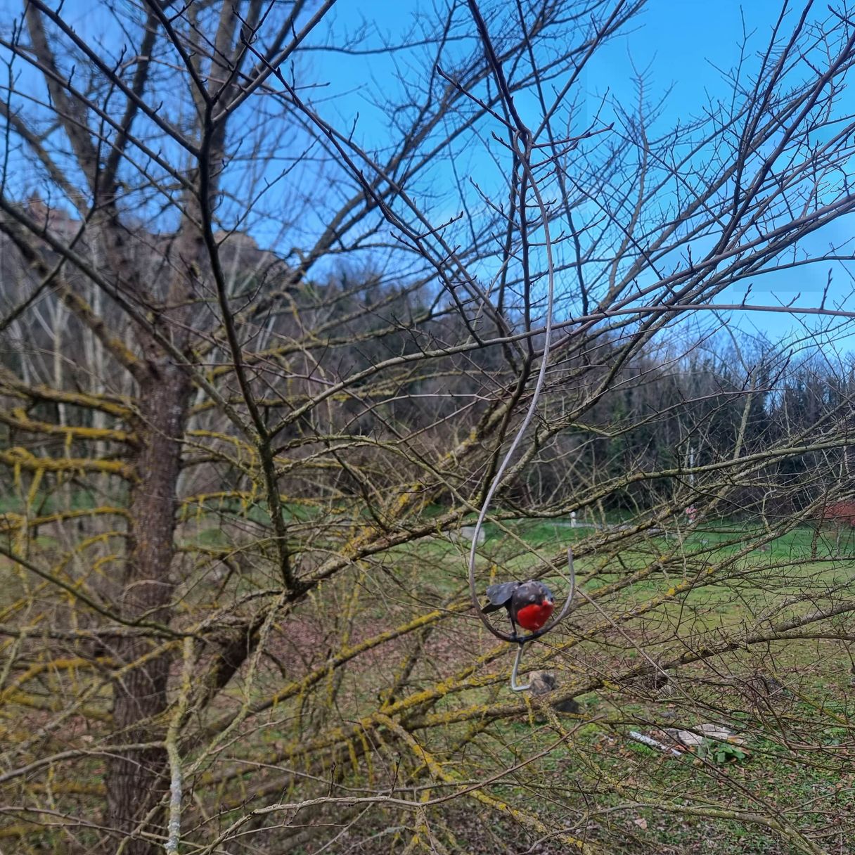 Click thumbnail to enlarge and hover over the picture to zoom Grease Ball Holder Red Throat Suspension 2