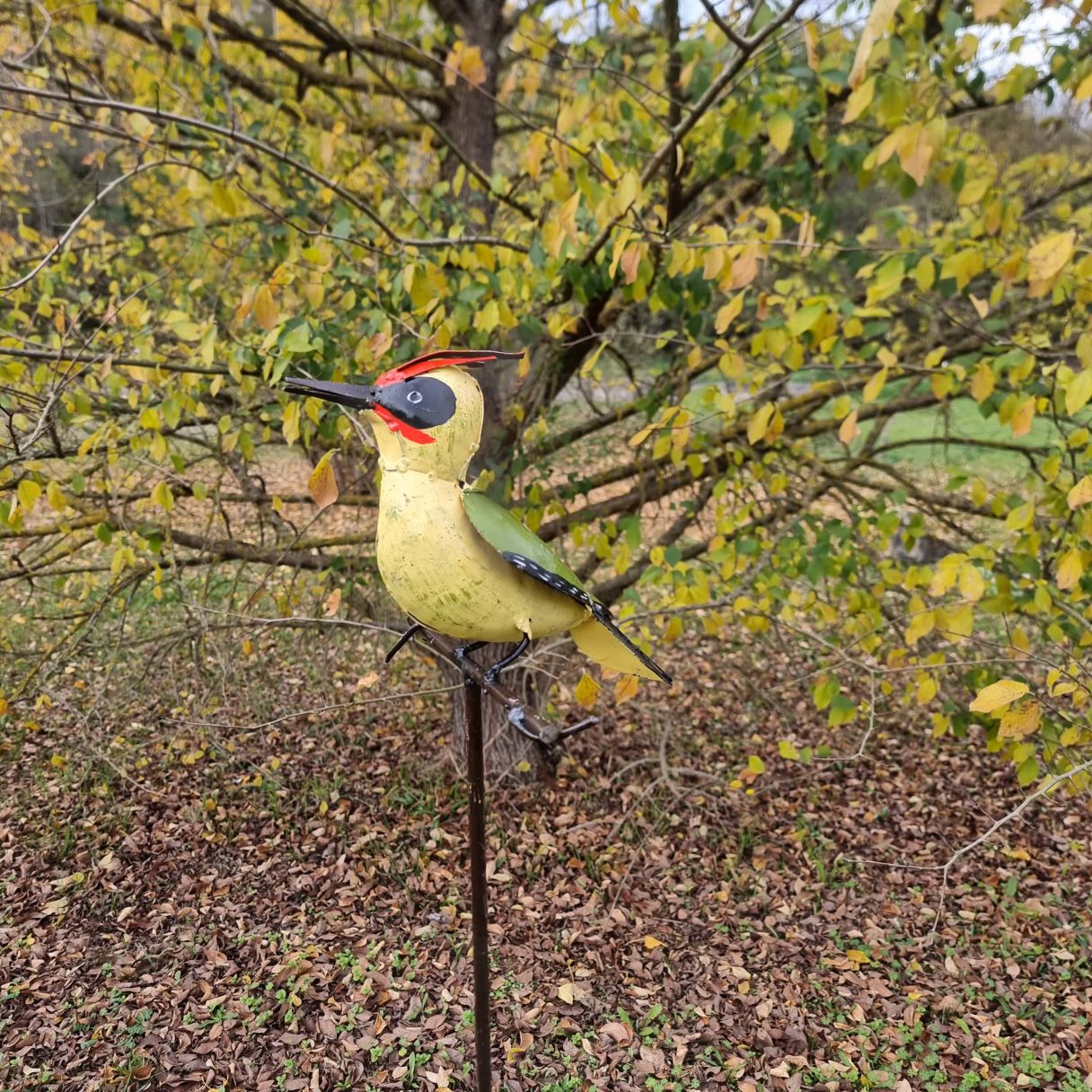 Click thumbnail to enlarge and hover over the picture to zoom Green woodpecker spike 4