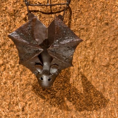 Chauve Souris pour mur