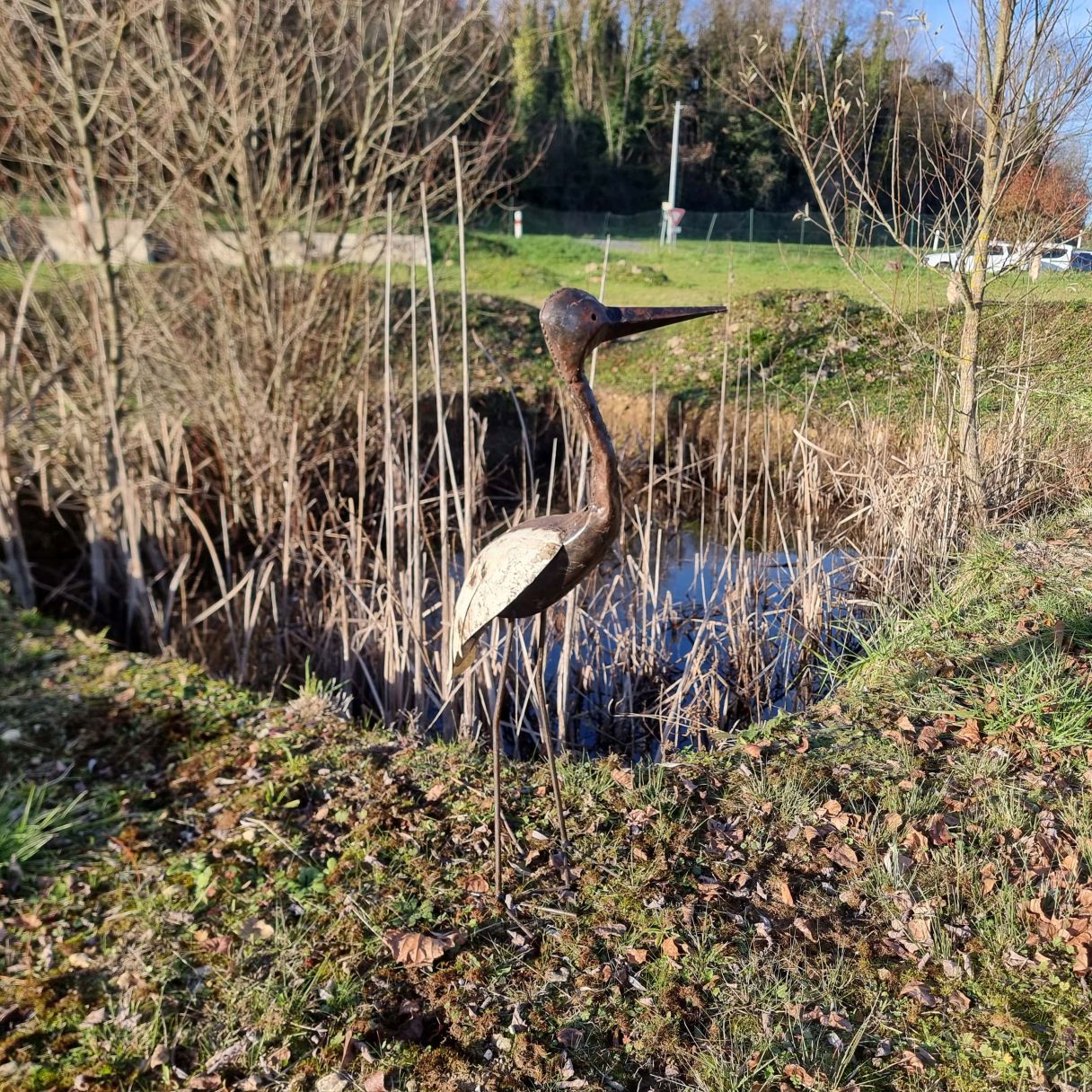 Cliquez sur la vignette pour agrandir et survolez la photo pour zoomer Cigogne Blanche 3