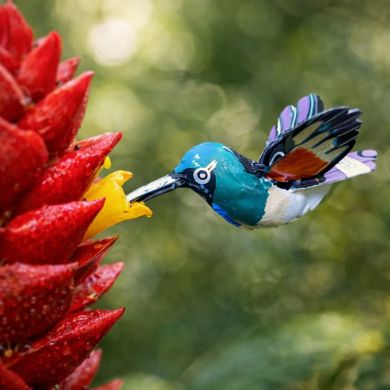 Colibri d’Équateur à suspendre