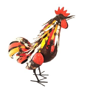 colored  plumage rooster calling