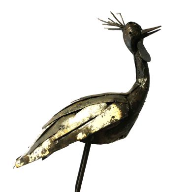 Crowned crane plumage 90cm