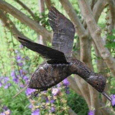 Duck in Flight