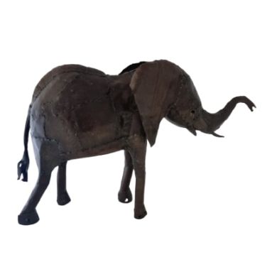 éléphant d'Afrique 