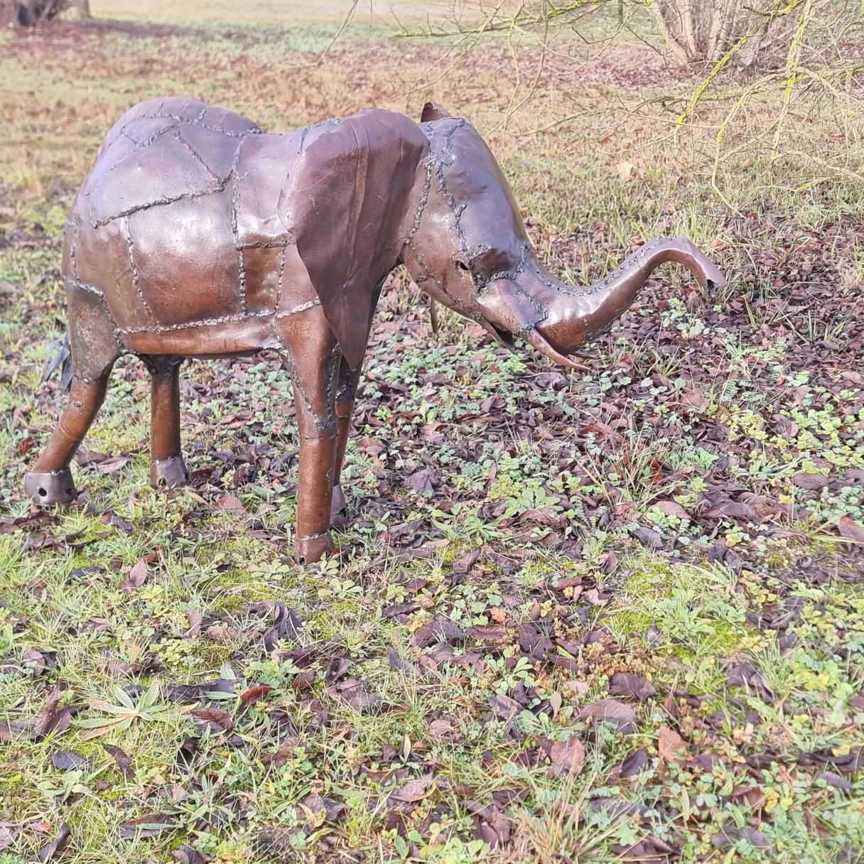 Cliquez sur la vignette pour agrandir et survolez la photo pour zoomer éléphant d'Afrique du Sud 3
