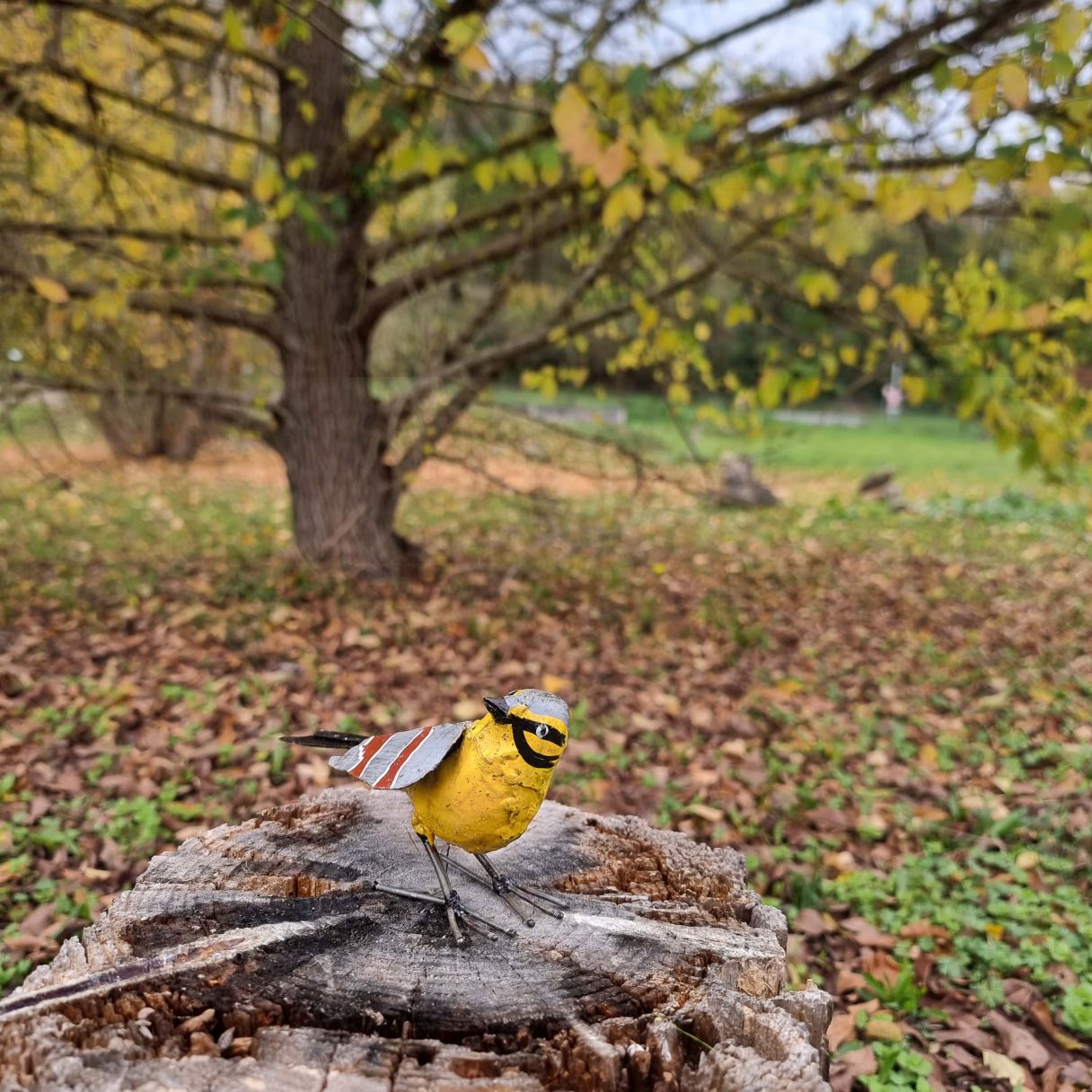 Click thumbnail to enlarge and hover over the picture to zoom Goose Chamu 72cm 3