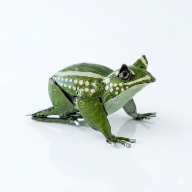 green tree frog