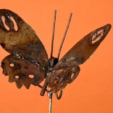Butterfly Guardian