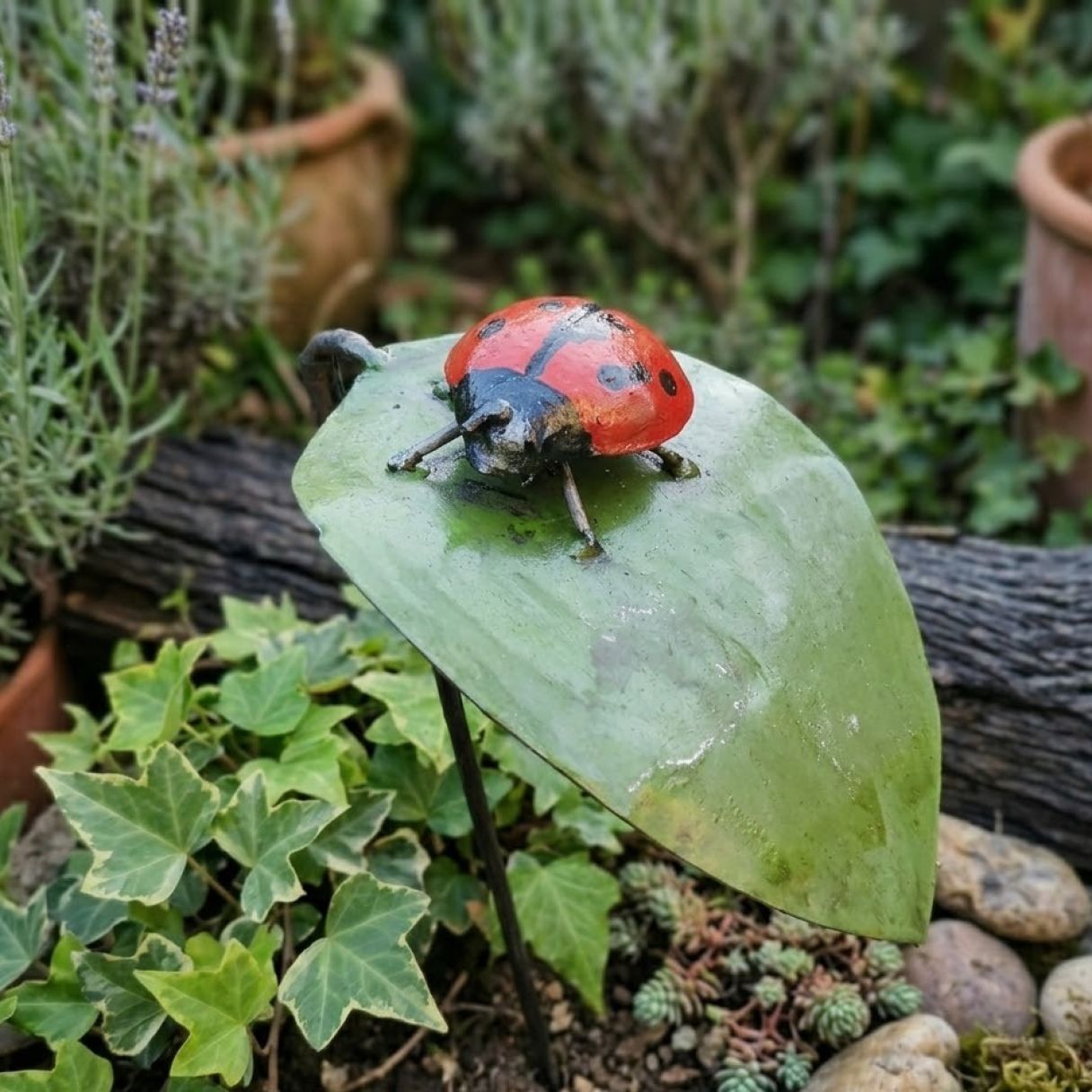 Click thumbnail to enlarge and hover over the picture to zoom Guardian Ladybug Small Leaf 2