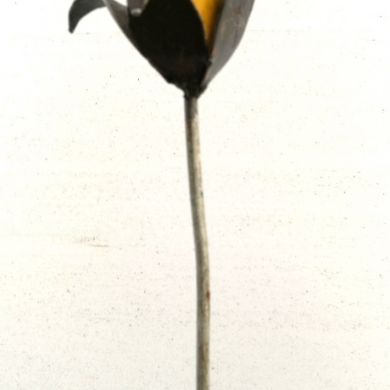 Tutor Rose Yellow