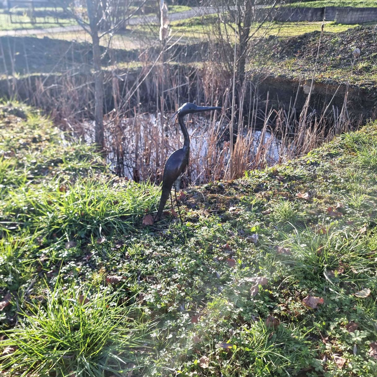 Cliquez sur la vignette pour agrandir et survolez la photo pour zoomer Heron Pourpre cou droit 3