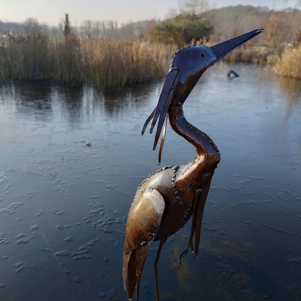 Click thumbnail to enlarge and hover over the picture to zoom Purple Heron neck 3