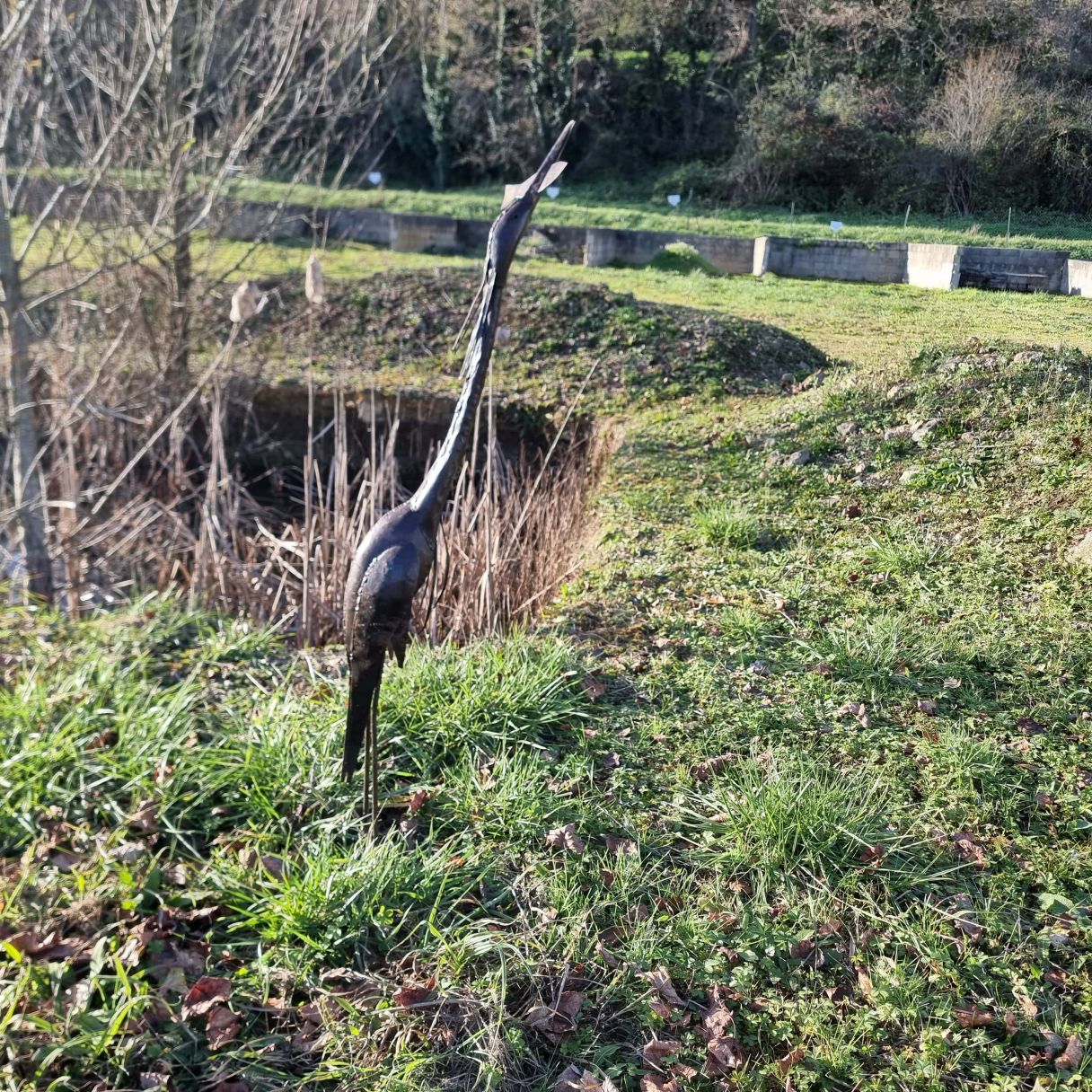 Click thumbnail to enlarge and hover over the picture to zoom SWALLOWING HERON 2