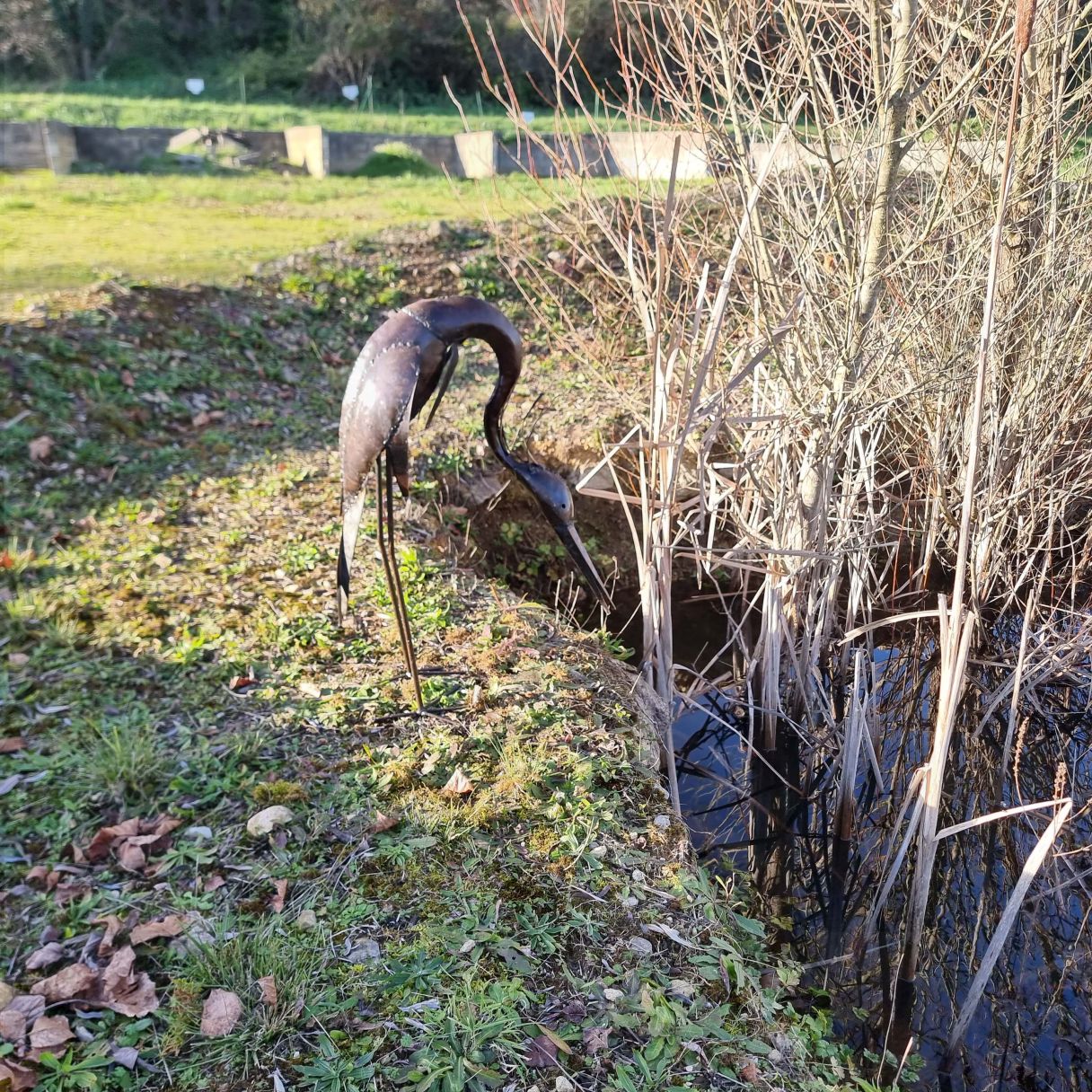 Click thumbnail to enlarge and hover over the picture to zoom Heron Tete Basse 3