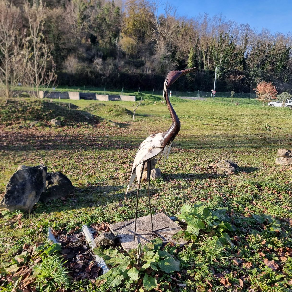Click thumbnail to enlarge and hover over the picture to zoom White Heron Plumage 2