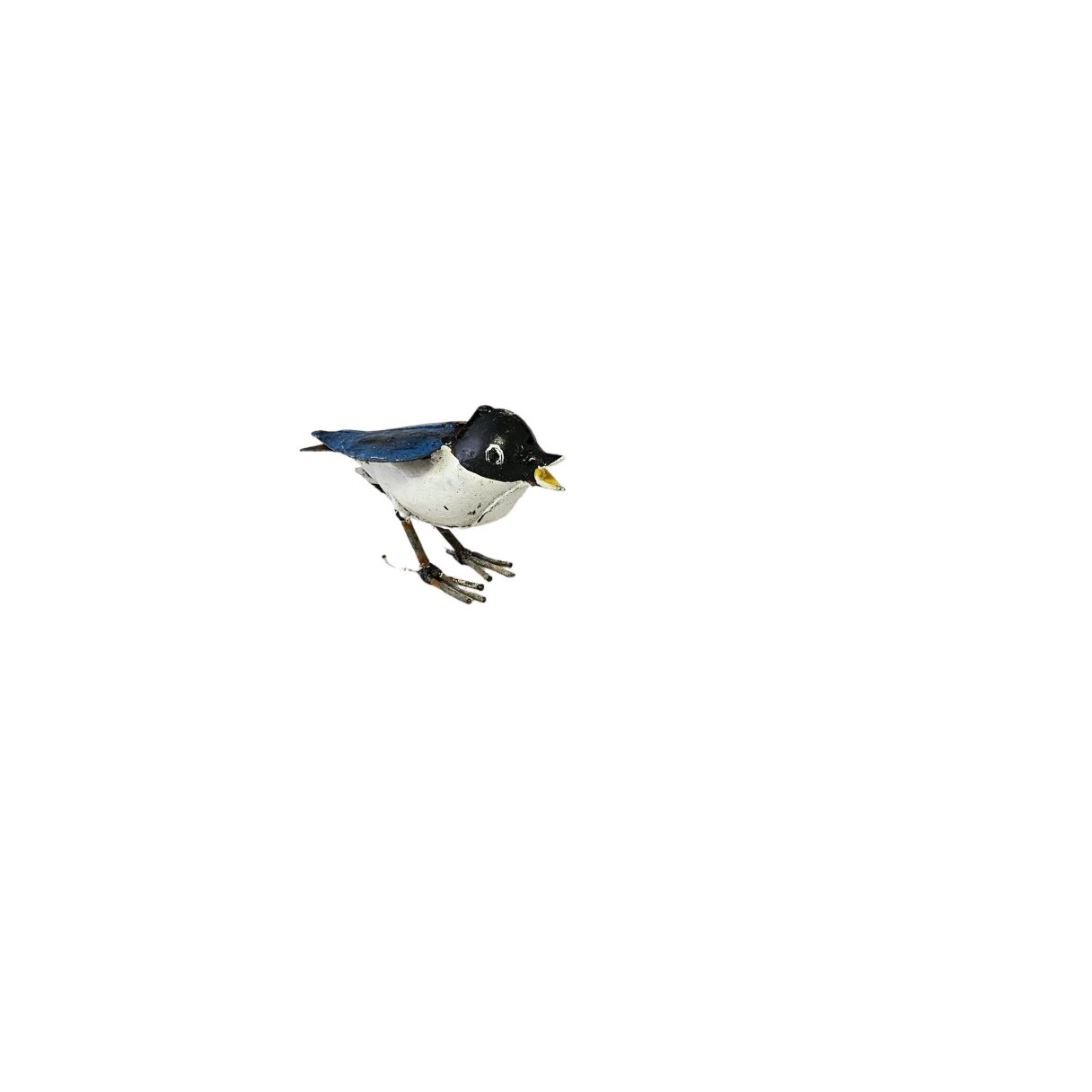 Cliquez sur la vignette pour agrandir et survolez la photo pour zoomer Hirondeau Bleu 2