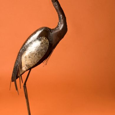 Ibis