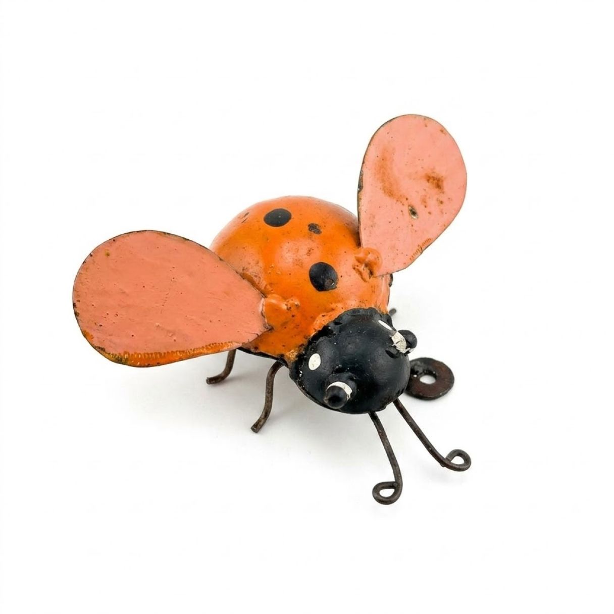 Click thumbnail to enlarge and hover over the picture to zoom Ladybird orange 2