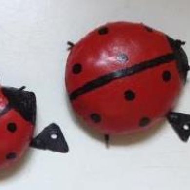 Red Beetle set of 2