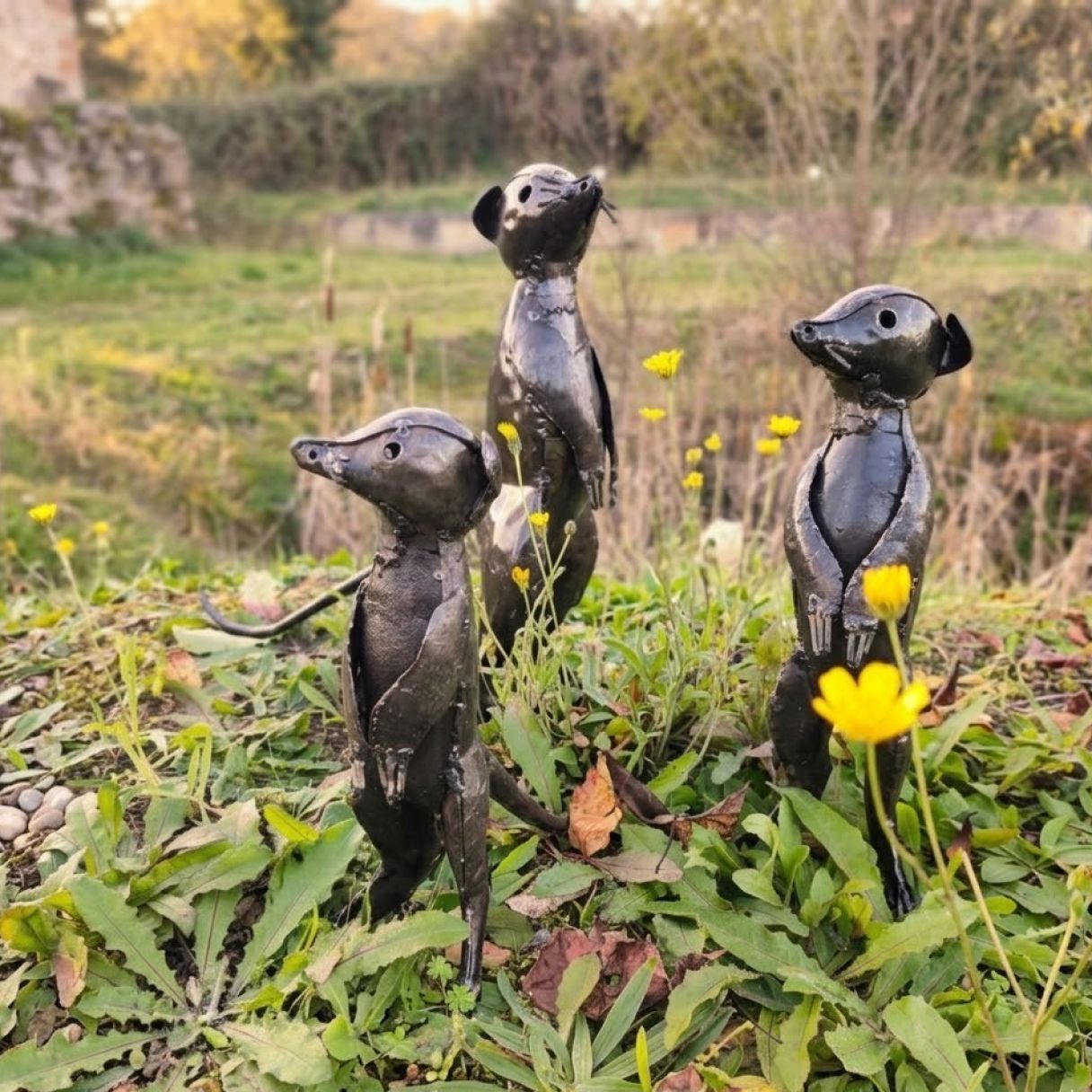 Click thumbnail to enlarge and hover over the picture to zoom Meerkat 35cm 3