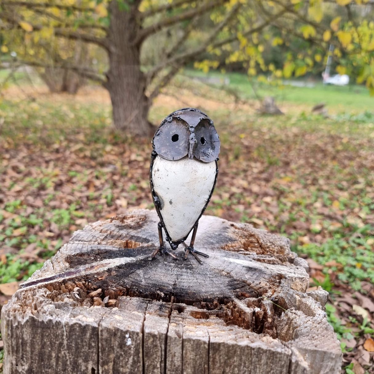 Click thumbnail to enlarge and hover over the picture to zoom Little Ray Owl 14CM 2