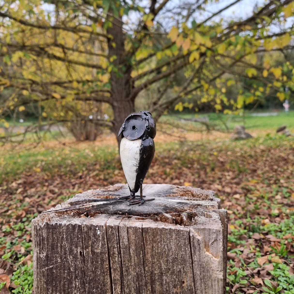 Click thumbnail to enlarge and hover over the picture to zoom Little Ray Owl 14CM 3