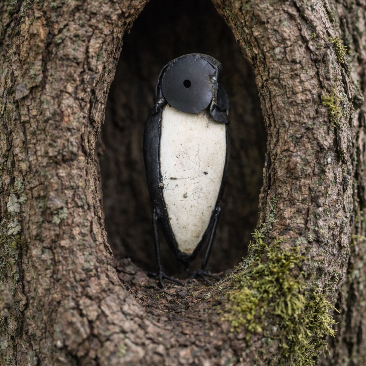 Click thumbnail to enlarge and hover over the picture to zoom Medium Owl Ray 4