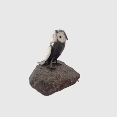 owl on the prowl med