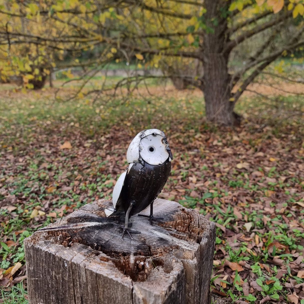 Click thumbnail to enlarge and hover over the picture to zoom owl on the prowl med 2