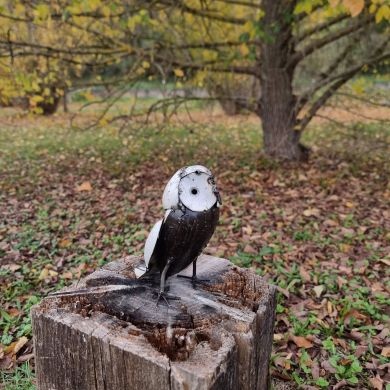 owl on the prowl med