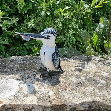 Painted Pied Kingfisher