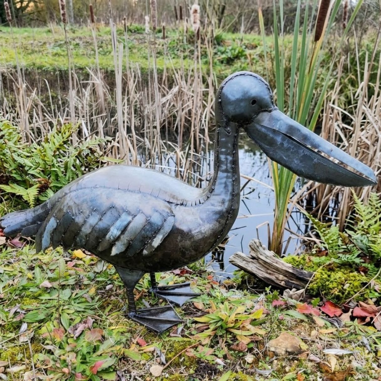 Cliquez sur la vignette pour agrandir et survolez la photo pour zoomer Pelican 3