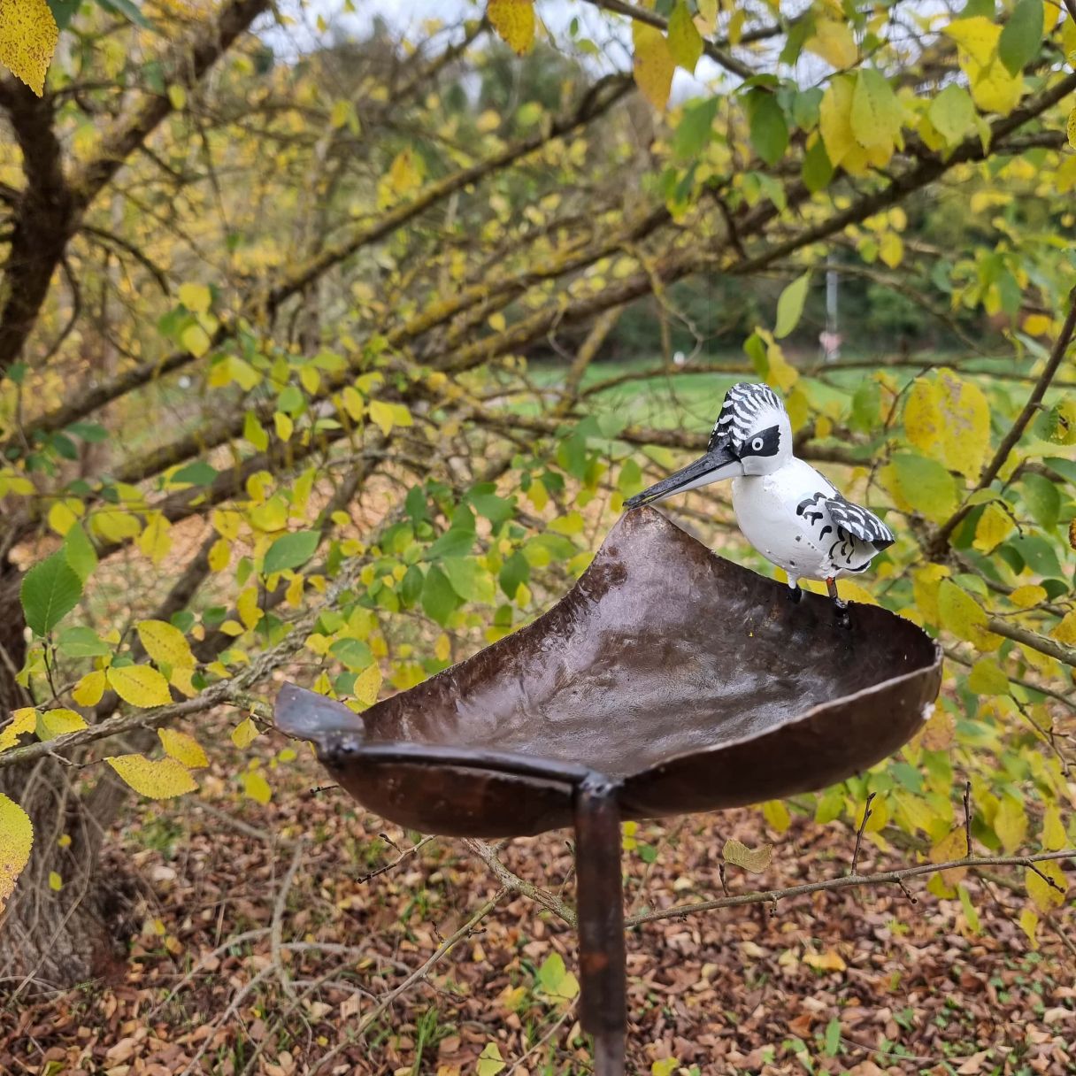 Click thumbnail to enlarge and hover over the picture to zoom pie kingfisher leef spike 2