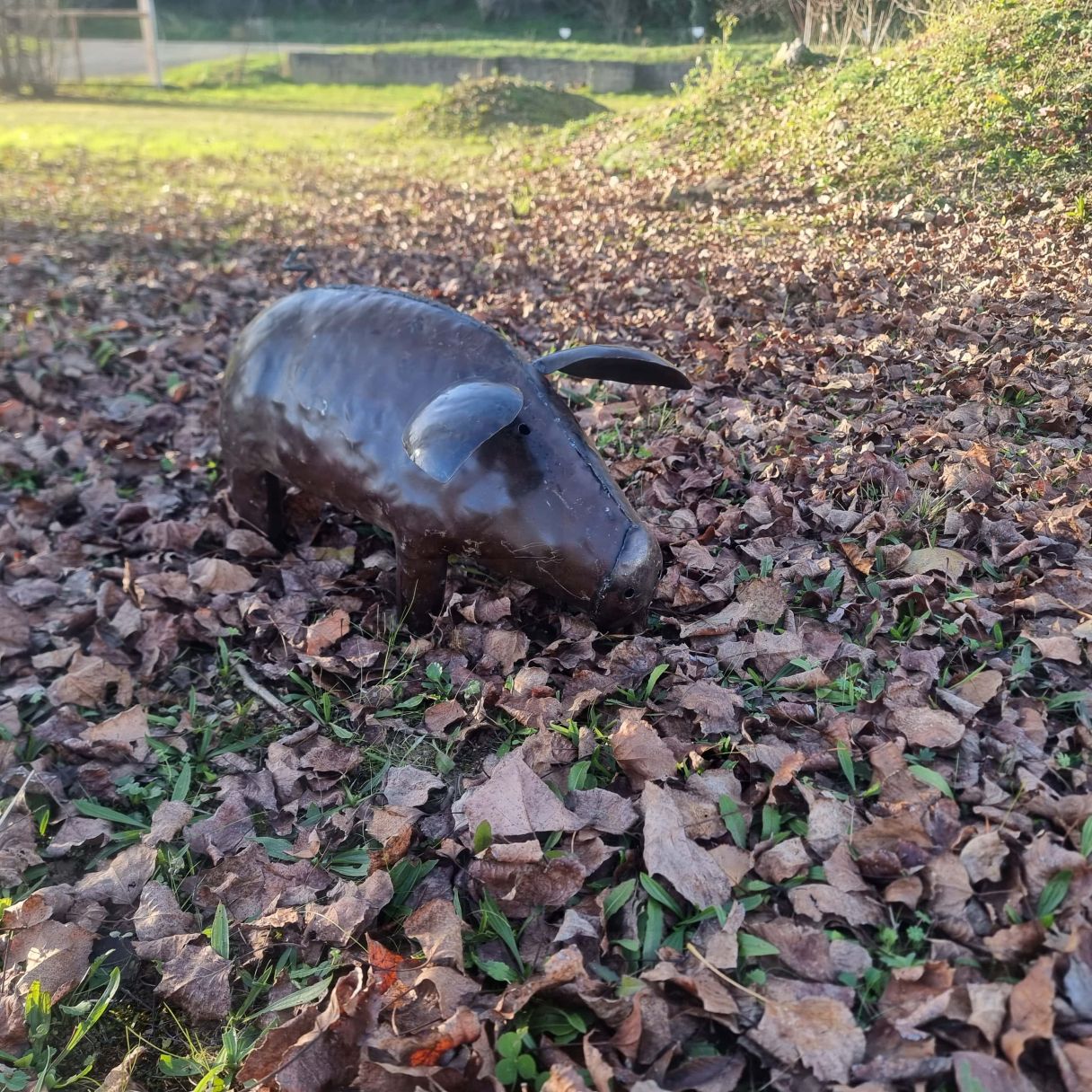 Click thumbnail to enlarge and hover over the picture to zoom Pig 50cm 2