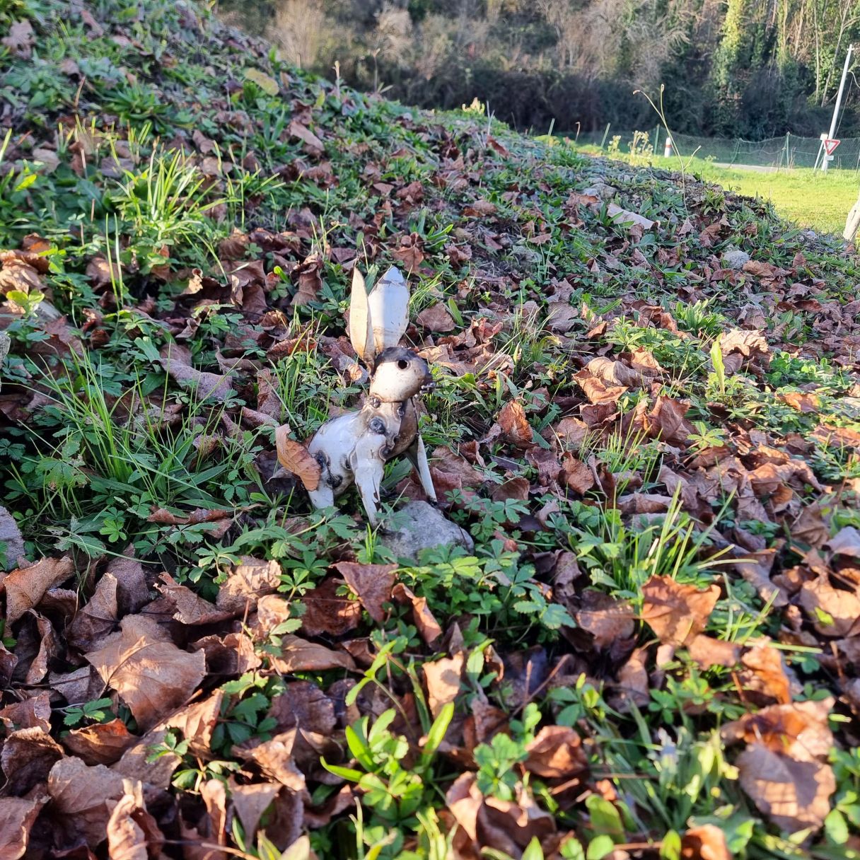 Click thumbnail to enlarge and hover over the picture to zoom White Rabbit Small 2