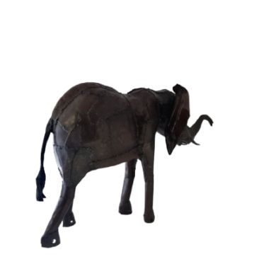 South African elephant 