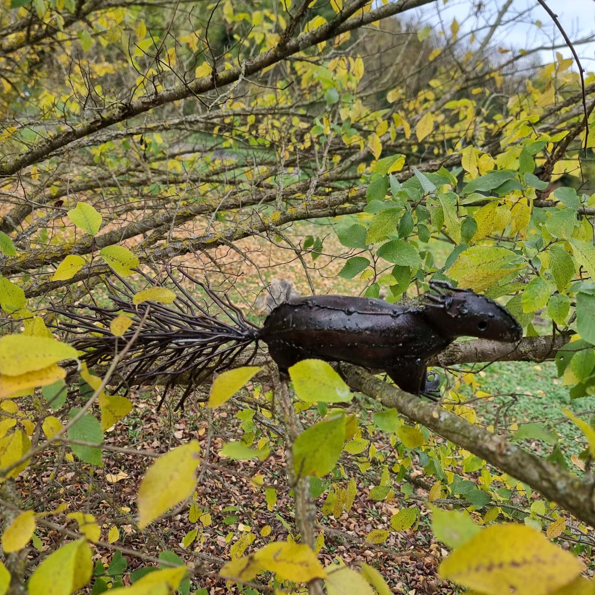 Click thumbnail to enlarge and hover over the picture to zoom Running squirrel 3