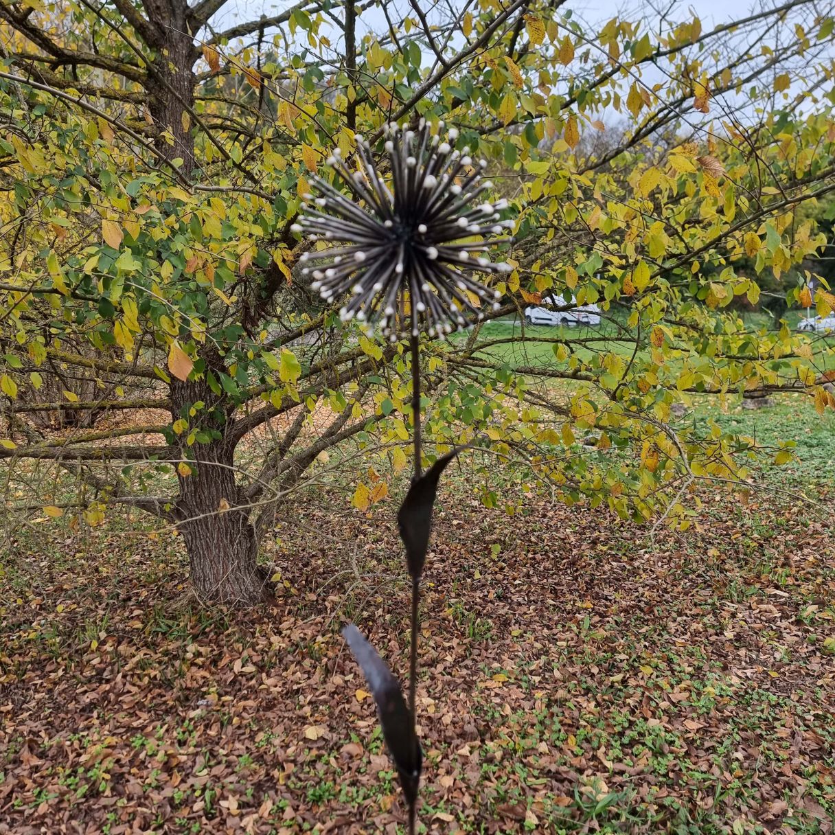 Cliquez sur la vignette pour agrandir et survolez la photo pour zoomer Tuteur Fleur d'Ail 2