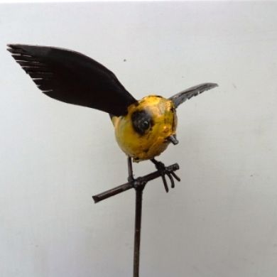 Canary Flying Tutor