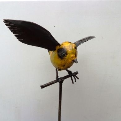 Canary Flying Tutor