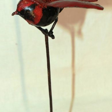 Cardinal Guardian in Flight