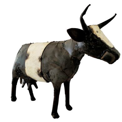 Vache prim’holstein