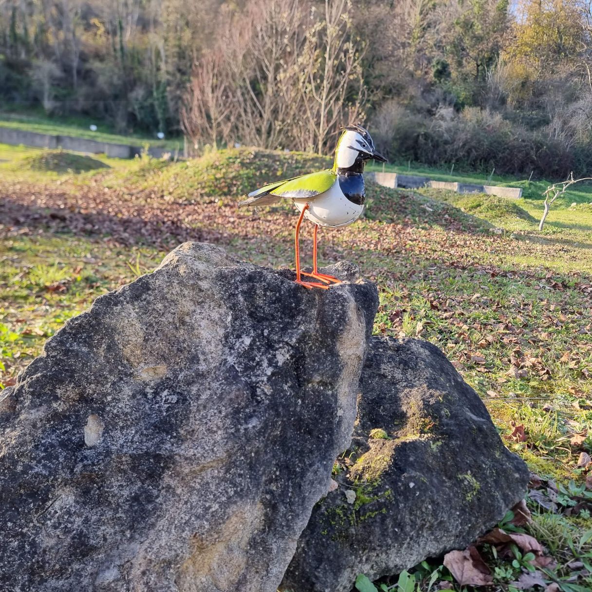 Cliquez sur la vignette pour agrandir et survolez la photo pour zoomer Vanneau huppé peint 3