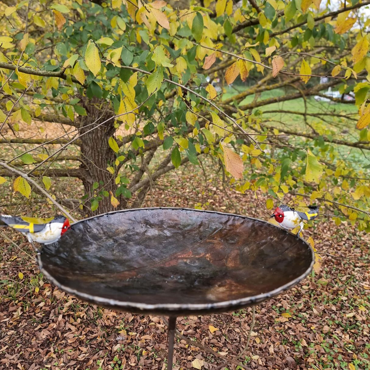 Click thumbnail to enlarge and hover over the picture to zoom Water bath spike 2 goldfinches 2