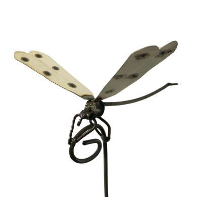 White winged dragonfly spike